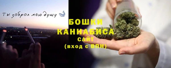 молекула духа Тында