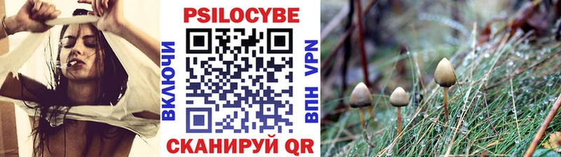 купить  цена  Обь  Галлюциногенные грибы Psilocybe 